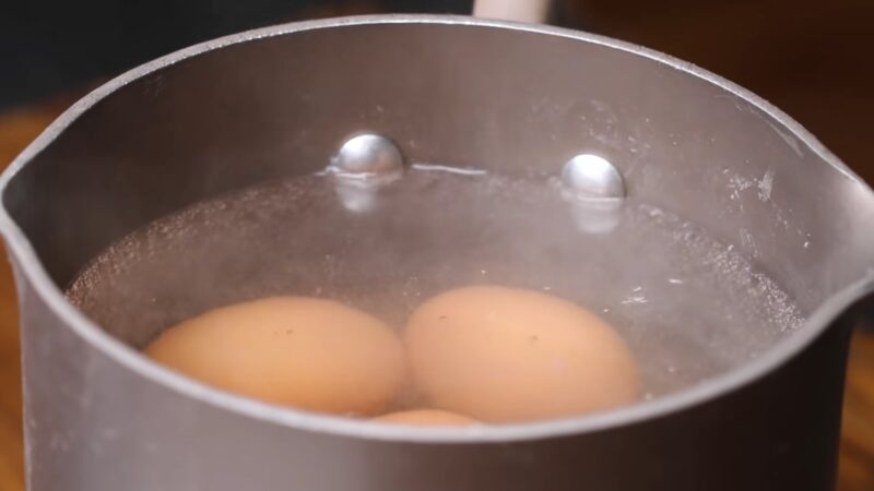 Egg Boiling Water For Watering Plant