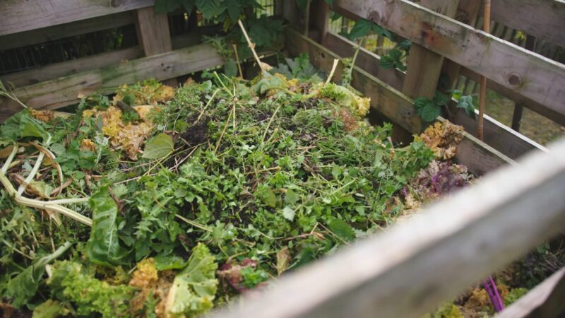 Making compost from waste from your garden
