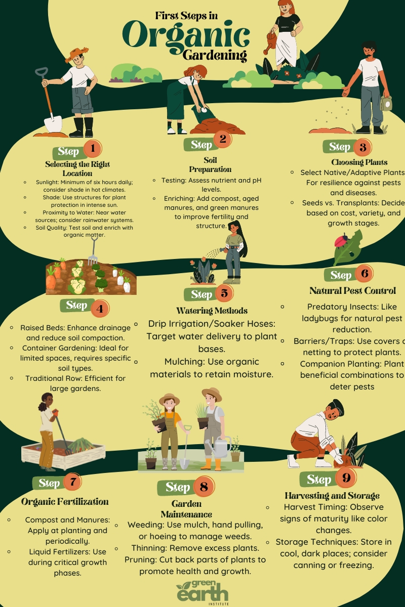 Infographic about Your First Steps in Organic Gardening