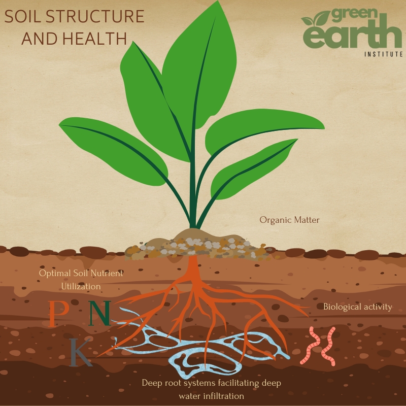 Soil Structure and Health