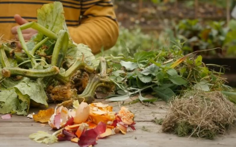 Composting - Turning Your Waste into Gold, As Alchemists Do