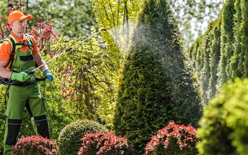 environment friendly pest control